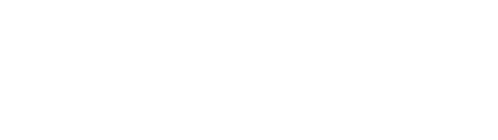 Saturn Software